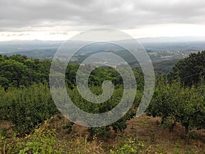 Serbia mountain Jelica green landscape DragaÄevo regio Serbia ÄŒaÄak